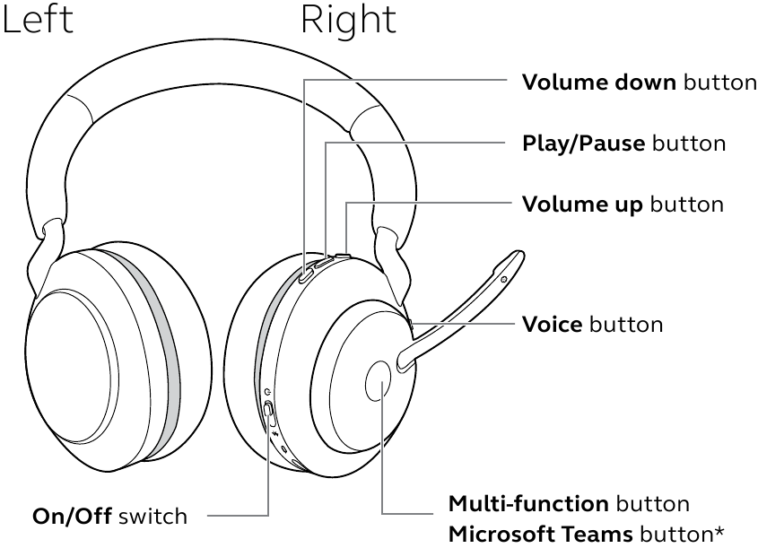 Jabra - Evolve2 65 - Anwendung Anwendung
