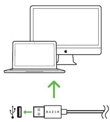Razer - BASILISK - RAZER SYNAPSE FÜR DEINE RAZER BASILISK INSTALLIEREN RAZER SYNAPSE FÜR DEINE RAZER BASILISK INSTALLIEREN