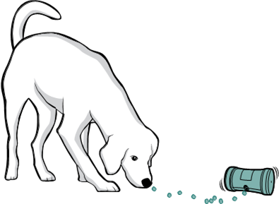 Petsafe - kibble chase - Anwendung - Schritt 6 Anwendung - Schritt 6