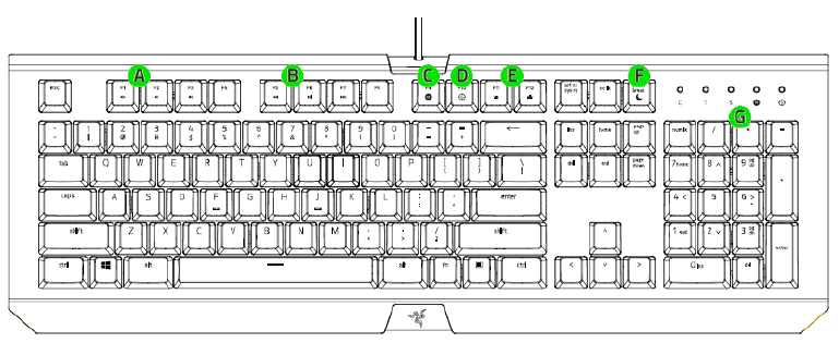 RAZER - BLACKWIDOW X CHROMA - GERÄTELAYOUT GERÄTELAYOUT