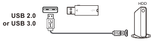 TCL - C755 Serie - Anschlüsse und Einrichtung - Buchsen - Schritt 5 Anschlüsse und Einrichtung - Buchsen - Schritt 5