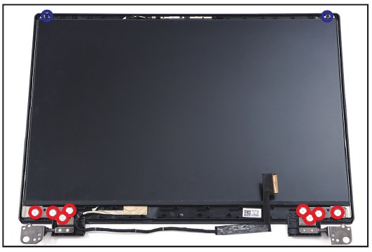 Acer - Nitro AN16-41 - Entfernen der LCD-Scharniere und des Panels - Schritt 2 Entfernen der LCD-Scharniere und des Panels - Schritt 2