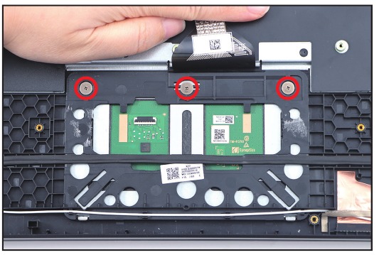Acer - Nitro AN16-41 - Entfernen des Touchpad-Moduls - Schritt 3 Entfernen des Touchpad-Moduls - Schritt 3