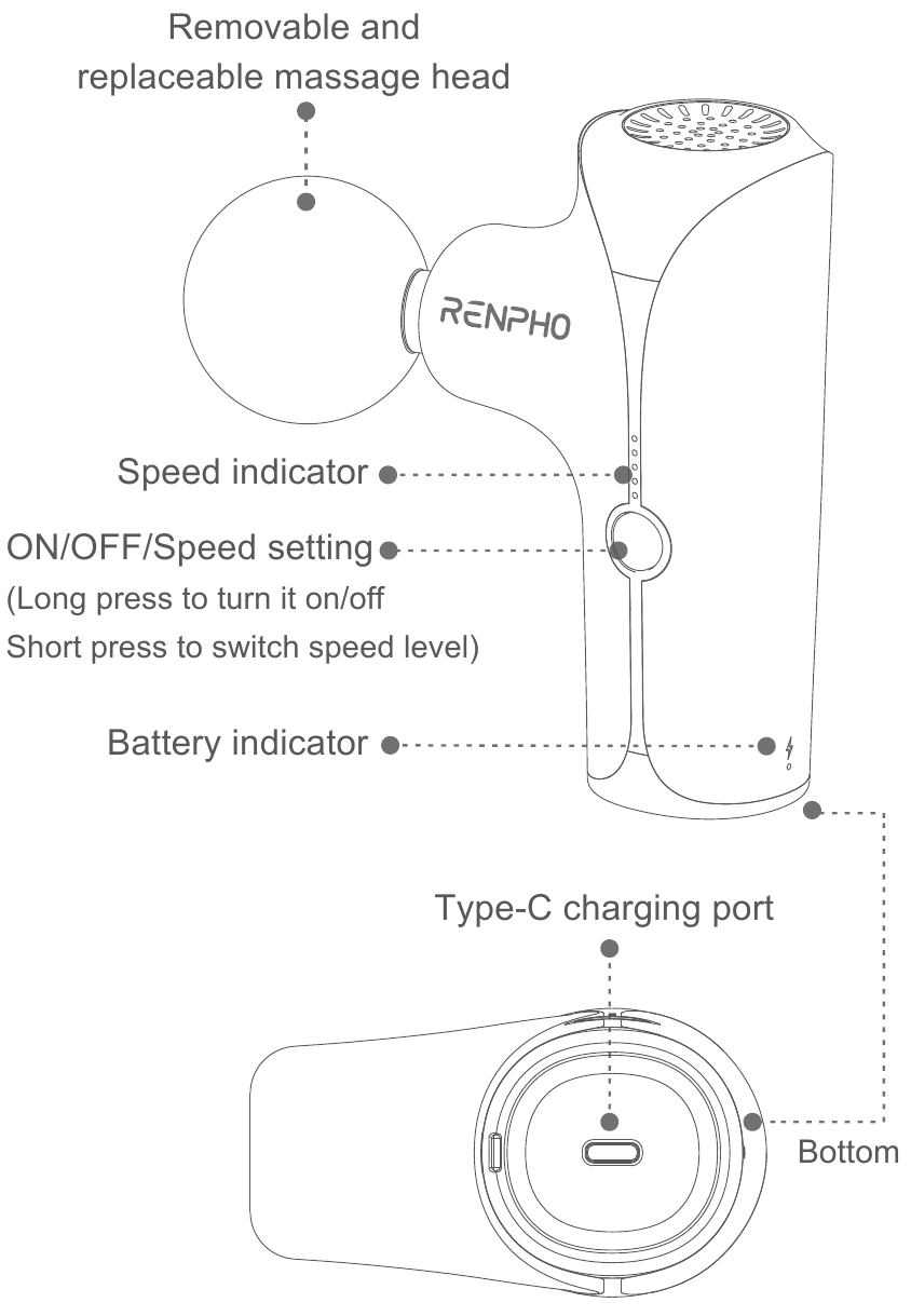 RENPHO - RP-GM173 - Produkteinführung Produkteinführung