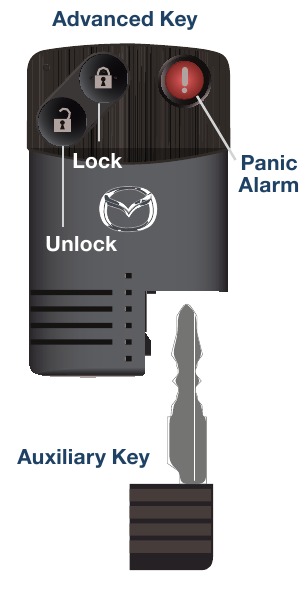 Advanced Keyless Entry System