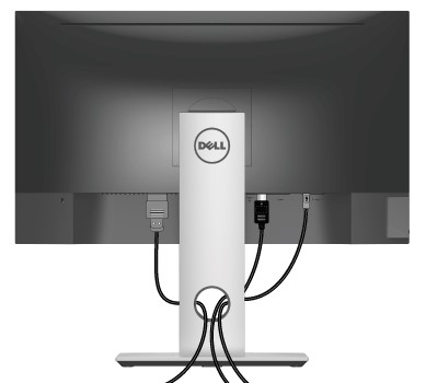 Dell - S2417DG - Kabel ordnen Kabel ordnen