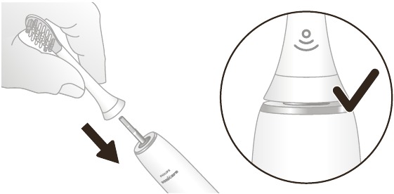 Philips - DiamondClean 9000 - Verwendung - Putzanleitung - Schritt 1 Verwendung - Putzanleitung - Schritt 1