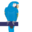 www.blueparrott.com