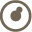 www.infantoptics.com