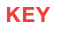 KEY Warnleuchte Symbol
