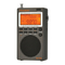 Radios Raddy RF760 Bedienungsanleitung