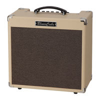 Roland Blues Cube Hot Bedienungsanleitung