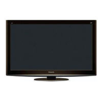 Panasonic TX-P4VT20E Bedienungsanleitung