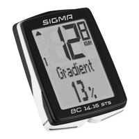 trekking e bike angebot Engwe E26 ST 250W 26