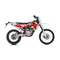 SWM RS 300 R 2017