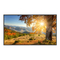 Monitore NEC MultiSync X754HB Bedienungsanleitung