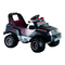 Ferngesteuerte Modelle Peg Perego Adventure High Performance Gebrauchs- Und Wartungsanleitung
