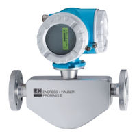 Endress+Hauser PROline Prosonic Flow 93 Einbauanleitung