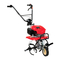 Motorhacken Honda F220 DET Bedienungsanleitung