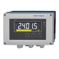 Endress+Hauser RIA45 Betriebsanleitung
