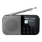 Radios Sharp DR-P520GY Bedienungsanleitung