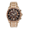 Uhren Citizen e650 Kurze Anweisungen