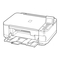 Drucker Canon PIXMA MG5250 Inbetriebnahme