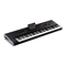 Korg Pa4X