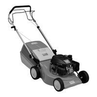 Stihl RM 253 T Gebrauchsanleitung