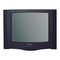 Fernseher Panasonic TX-28LB10F Serviceanleitung