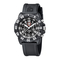 Uhren Luminox Serie 3080.RP Bedienungsanleitung