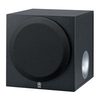 Yamaha YST-SW012 Bedienungsanleitung