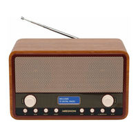 Roadstar HRA-1300DAB+ Bedienungsanleitung