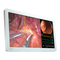 Eizo CuratOR EX2621
