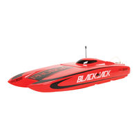 Proboat Blackjack 24 Bedienungsanleitung