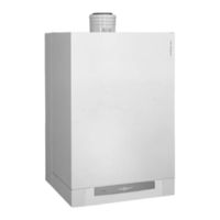 Viessmann Vitodens 300 Typ WB3A Anleitung