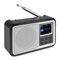Radios Audizio PARMA Schnellstartanleitung
