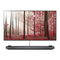OLED-Fernseher LG SIGNATURE OLED65W8 Serie Sicherheitshinweise Und Referenzen