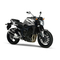 Motorräder Yamaha 2006 FZ1-N Wartungsanleitung