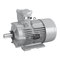 Motoren Nidec Leroy-Somer FLSD serie Inbetriebnahme Und Wartungsanleitung