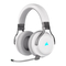 Corsair VIRTUOSO RGB WIRELESS Handbuch