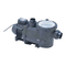 Pumpen Astralpool VIRON P300 Installationsanleitung