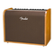Verstärker Fender ACOUSTIC 100 Bedienungsanleitung