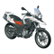 Motorräder BMW Motorrad G 650 GS 2010 Betriebsanleitung