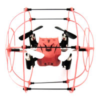 Rayline R802-1 Bedienungsanleitung