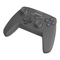 Gamecontroller Genesis MANGAN PV58 Schnellinstalationsanleitung