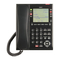 NEC SL2100 - IP Mehrleitungs-Handbuch