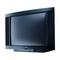 Fernseher Loewe Arcada 8772 ZP Serviceanleitung