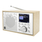 Radios Dual DCR 100 Bedienungsanleitung