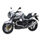 MOTO GUZZI 1200 sport 4V